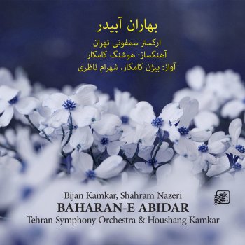 Bijan Kamkar & Tehran Symphony Orchestra feat. Ardeshir Kamkar Baharan-E Abidar - III