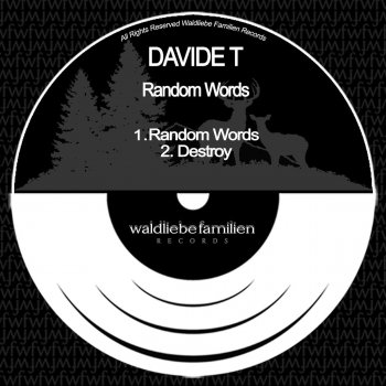 Davide T Destroy - Original Mix