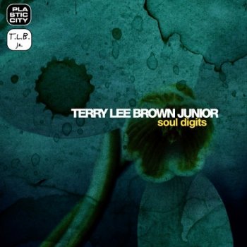 Terry Lee Brown Jr. Soul Digits (Harold Heath remix)