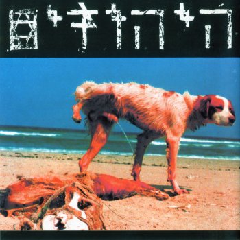 Hayehudim אינטרמת
