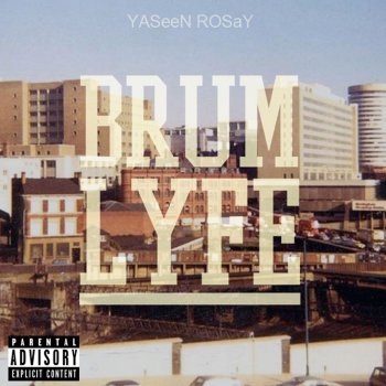 YASeeN RosaY Think the World