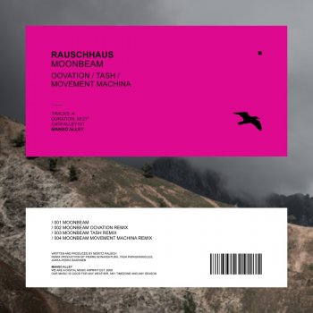 Rauschhaus feat. Oovation Moonbeam - Oovation Remix