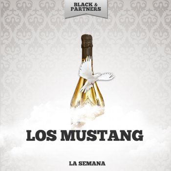 Los Mustang Madison-Twist
