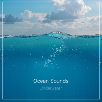 Ocean Sounds Morning Waves