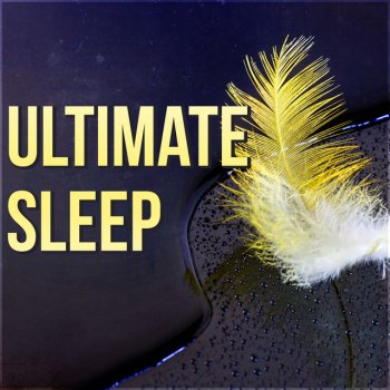 Deep Sleep System Sleep Music