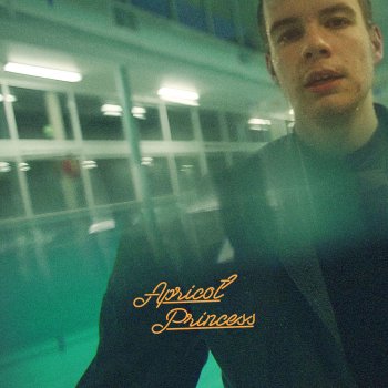 Rex Orange County Apricot Princess