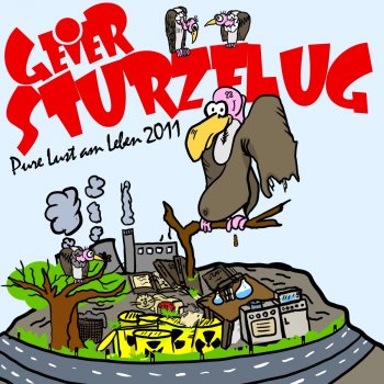 Geier Sturzflug Skandal