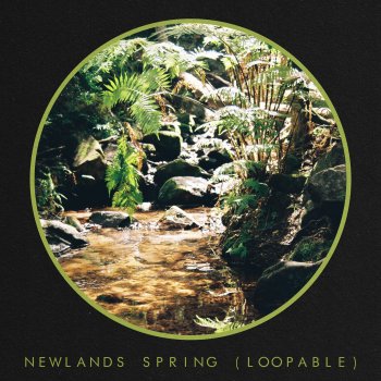 Kinsun Newlands Spring (Loopable)