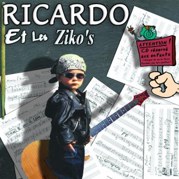 Ricardo Silva Matou
