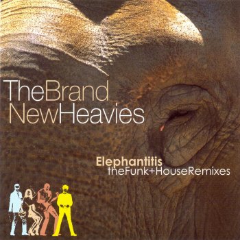 The Brand New Heavies Mind Trips (Durham Remix)