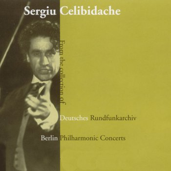 Johannes Brahms feat. Berliner Philharmoniker & Sergiu Celibidache Symphony No. 4 in E Minor, Op. 98: I. Allegro non troppo
