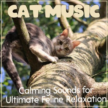 RelaxMyCat feat. Cat Music Dreams Soothing Songs