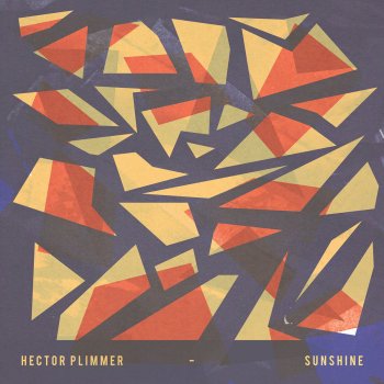 Hector Plimmer Bossa B