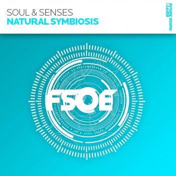 Soul & Senses Natural Symbiosis - Indecent Noise Remix