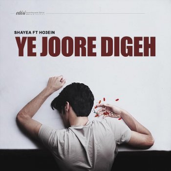 Shayea Ye Joore Digeh (feat. Ho3ein & Nimosh)