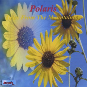 Polaris The Mountaintop