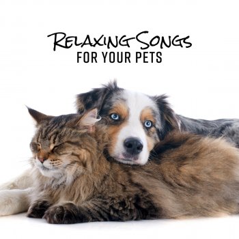 Pet Music Academy Serene Sounds for Cats