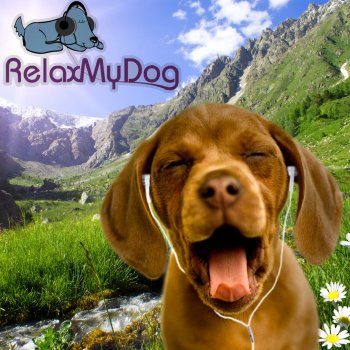 Relaxmydog Gentle Piano