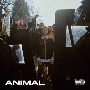 Nayt Animal