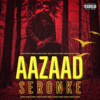 Seronke feat. Panda Productions 6ix