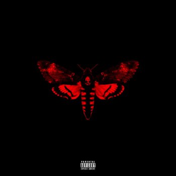 Lil Wayne feat. Drake & Future Love Me