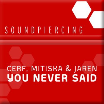 Cerf feat. Mitiska & Jaren You Never Said (Dash Berlin Remix)