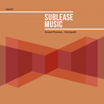 Sound Process Infoxication