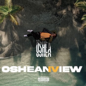 Исполнитель Oshea, альбом OsheanView 4