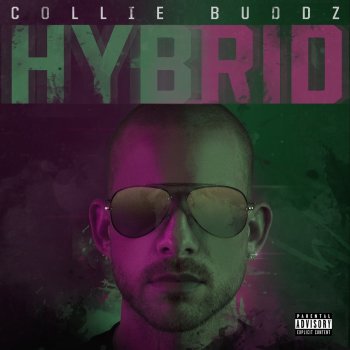 Collie Buddz Legal Now