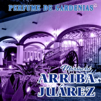 Исполнитель Mariachi Arriba Juárez, альбом Perfume De Gardenias