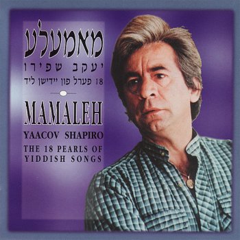 Yaacov Shapiro Moyshele Main Freind