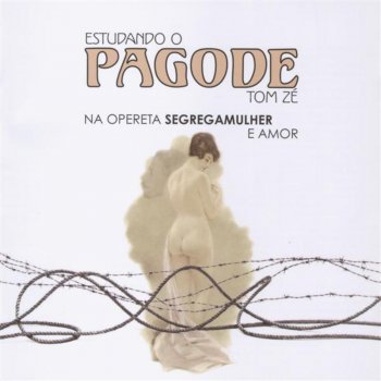 Tom Zé Ave Dor Maria - Mús. Incid.: Ave Maria