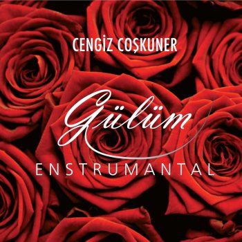Исполнитель Cengiz Coşkuner, альбом Gülüm