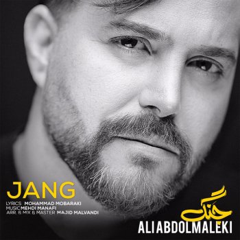Ali Abdolmaleki Jang