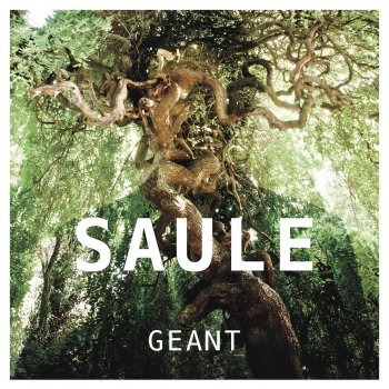 Saule Inventaire de notre amour
