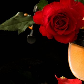 Lindsey Stirling Don't Carry It All