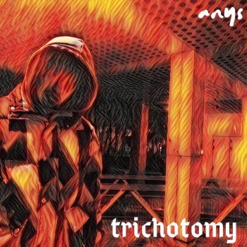 Anys Trichotomy