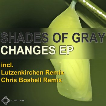 Shades Of Gray Changes - Lutzenkirchen Remix