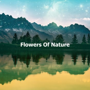 Nature Recordings Biome Mangrove