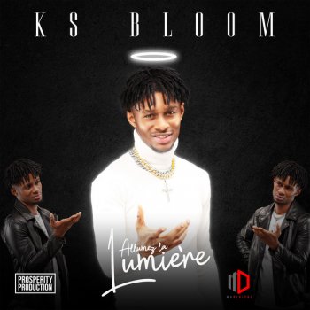 Ks Bloom Alloco