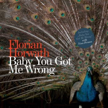 Florian Horwath Baby You Got Me Wrong (Solo)