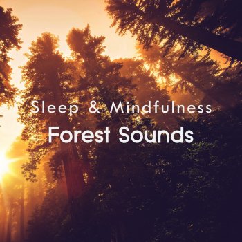 Sleepy Times Forest Sleep and Relaxing Sounds, Pt. 69