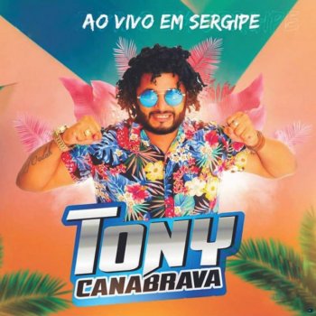 Исполнитель Tony Canabrava, альбом Verão 2k19