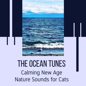 Incredible Oceans Ocean Wave Tunes