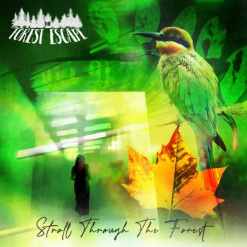 The Forest Escape Spring Is Blooming