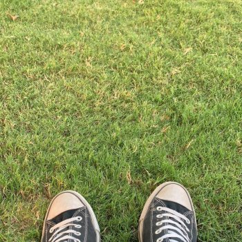 Исполнитель Ok, Thanks, альбом still dead