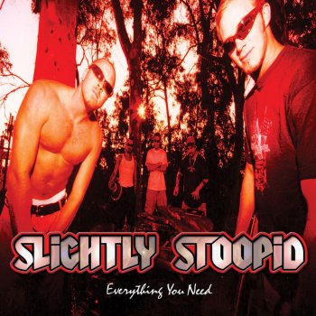 Slightly Stoopid Everything You Need