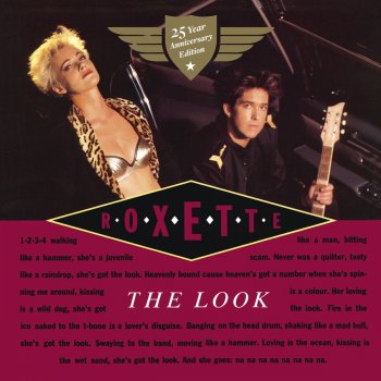 Roxette The Look (Visible mix)