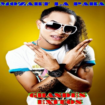 Mozart La Para Exceso de Cotorra