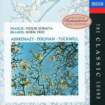 Barry Tuckwell feat. Itzhak Perlman & Vladimir Ashkenazy Horn Trio in E Flat, Op.40: 1. Andante - Poco Più Animato